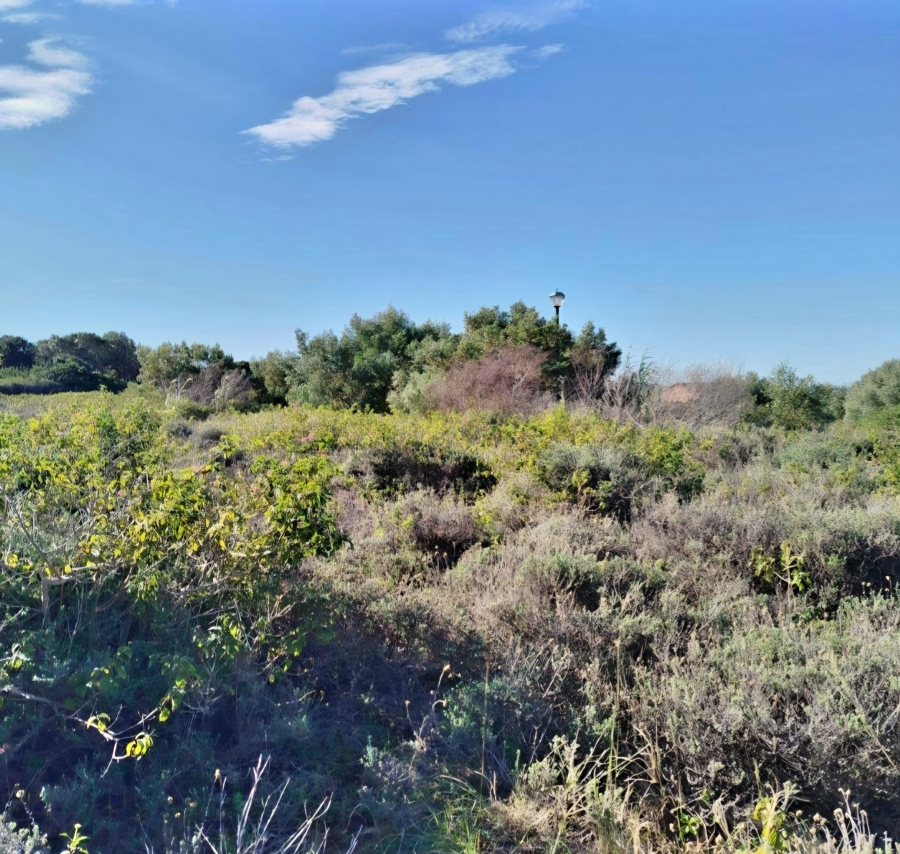 0 Bedroom Property for Sale in West Bank Eastern Cape